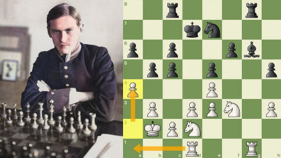 Alekhine pescador lança REDE de MATE!