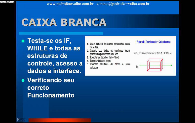 TESTE DE SOFTWARE