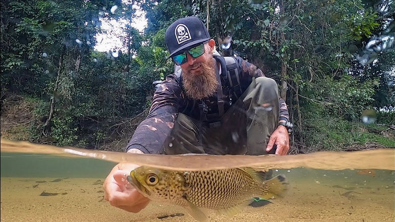 LURE FISHING IN THE JUNGLE - Exploring the Crystal Clear Creeks of FNQ
