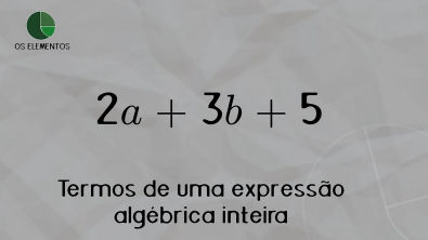 Termo de uma expressão algébrica inteira