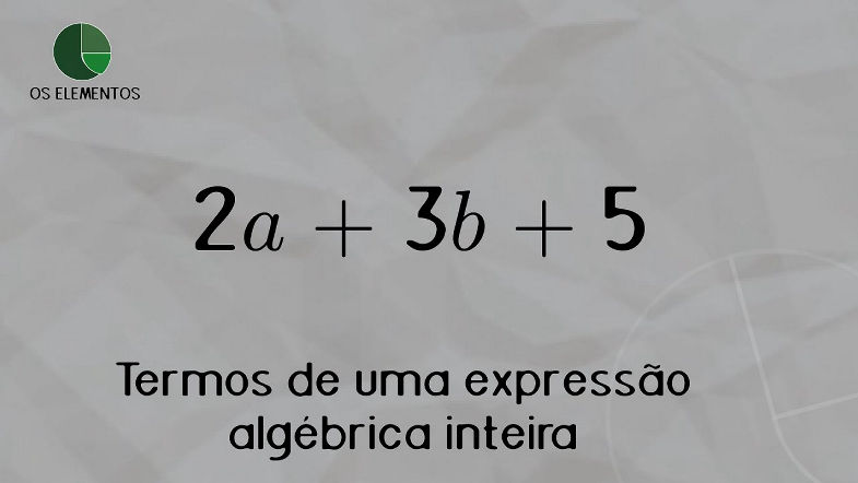 Termo de uma expressão algébrica inteira