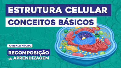 ESTRUTURA CELULAR conceitos básicos | Recomposição de Aprendizagem | Cláudia de Souza Aguiar