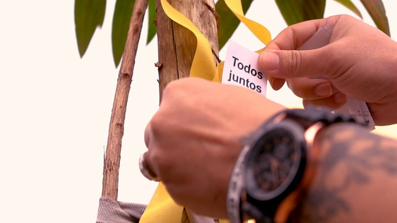 FROM_PRO_19561033_c0495189-0c95-4222-9fe9-9eac8708dd40